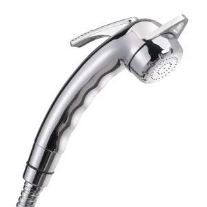 Reich Charisma Adjustable Chrome Shower Head with Lever