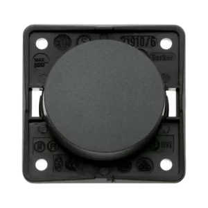 W4 Berker Rocker Switch - Anthracite
